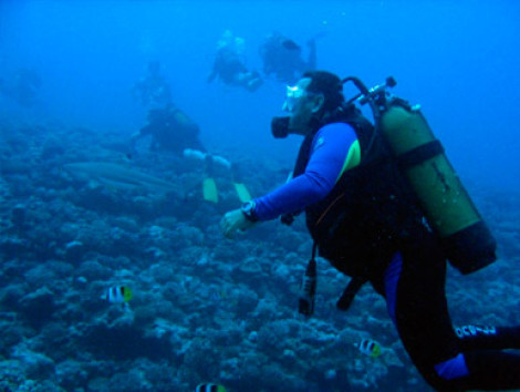 Mini Diving Course in San Andres 