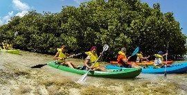 Transparent Kayak Tour