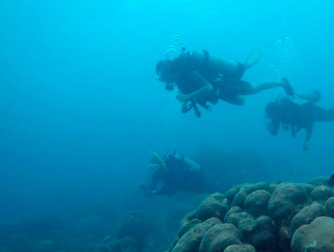 Baru Island Scuba Diving Day Tour