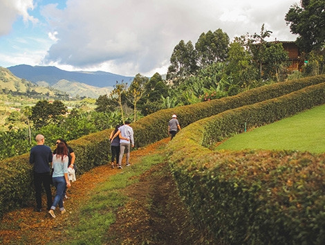 Jardín Day Trip